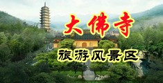 大屌艹烂浪骚逼av.中国浙江-新昌大佛寺旅游风景区